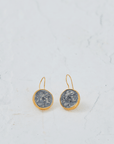 Coin Earrings