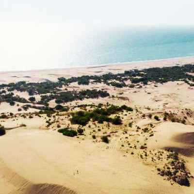 Desert landscape with sand dunes and sparse vegetation near a body of water.