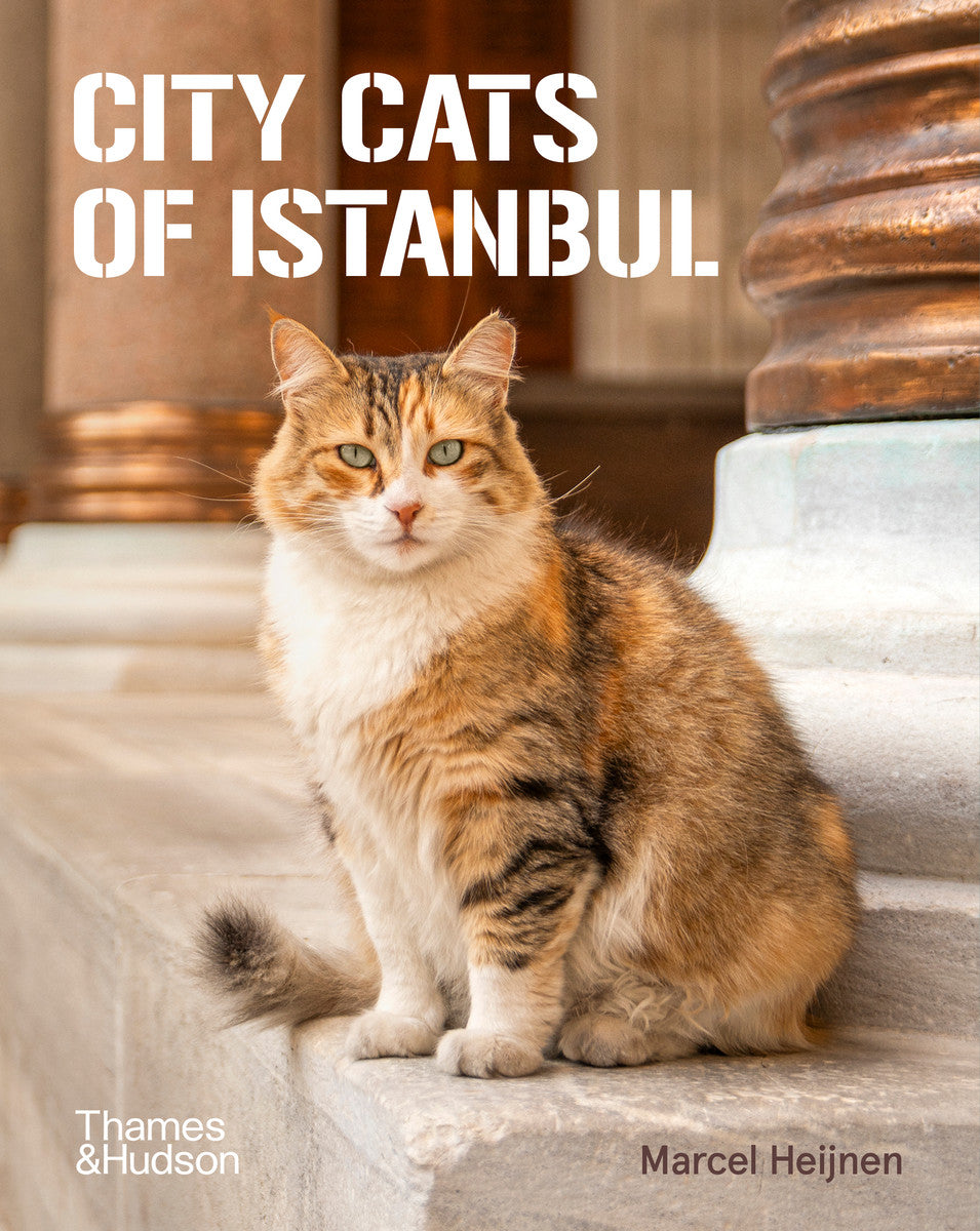 City Cats of Istanbul book cover